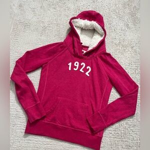 Y2K Hollister Slim Fit Hoodie